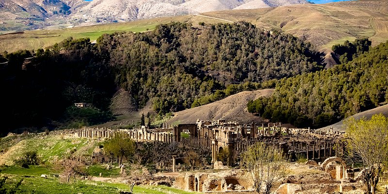 Portfolio Image